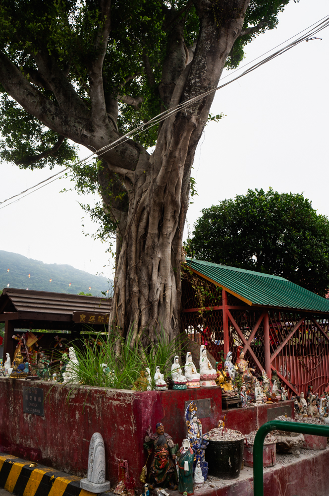 Lam Tsuen Wishing Tree